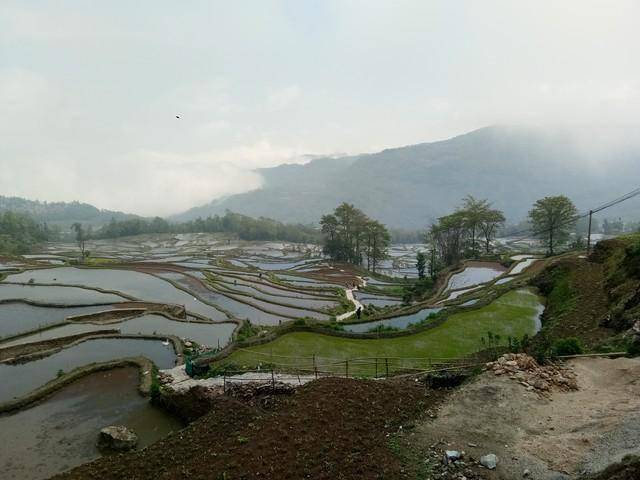 哈尼族彝族自治州彝族文化探析新葡京网上赌